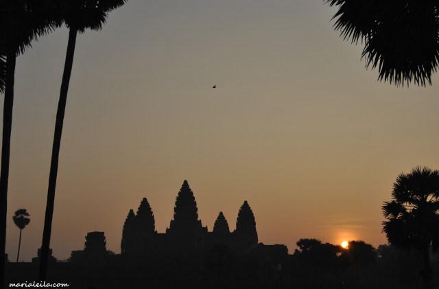 angkor wat